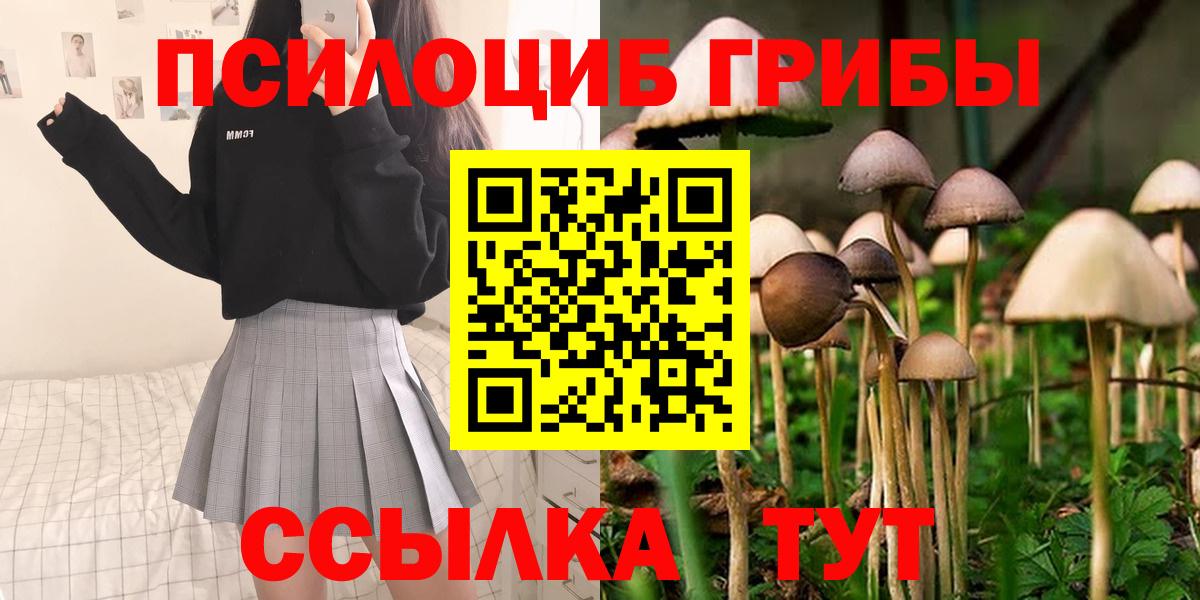 Псилоцибиновые грибы Magic Shrooms  Вход с VPN  Галлюциногенные грибы Psilocybine cubensis  Великий Устюг 