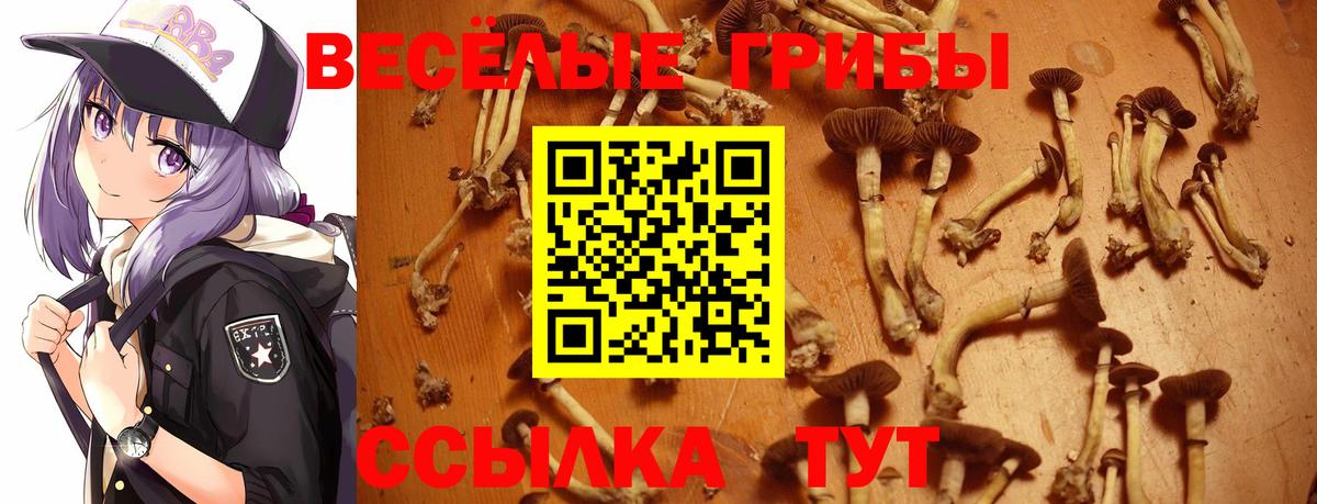 Кокаин  Вход с VPN  Купить наркотик  Мефедрон   ГАШ  Великий Устюг  МАРИХУАНА 