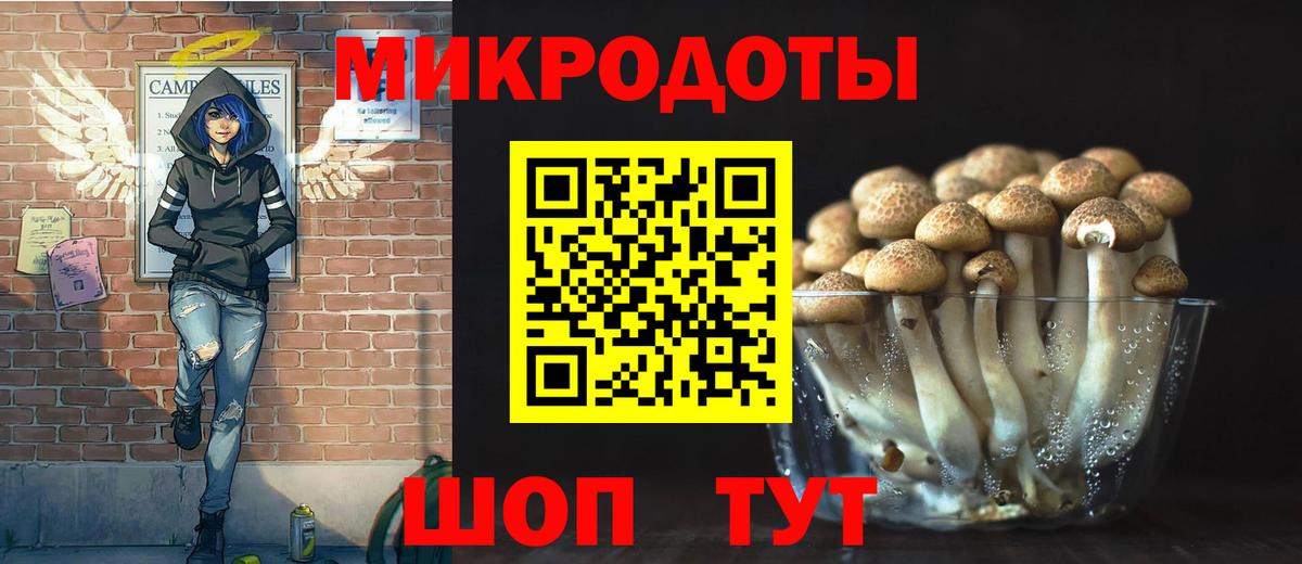 Галлюциногенные грибы прущие грибы Великий Устюг